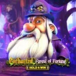 Slot Enchanted Forest Of Fortune